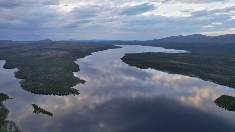 Mehr über den Artikel erfahren Ein Abenteuer der Sippe Kobras
